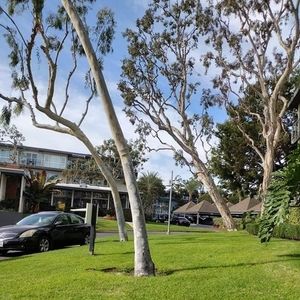 Meet your Posher, Celso